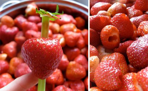 Equeuter les fraises facilement à l'aide d'une paille !