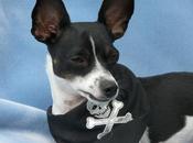 [Tuto] Jailbreak 5.1.1 tethered Redsn0w...