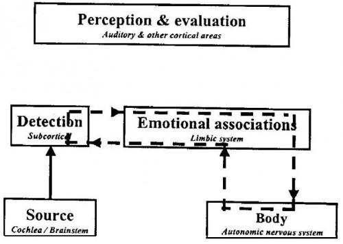 thérapie sonore, apprentissage, demystification, réentrainement comportemental, évaluation, détection