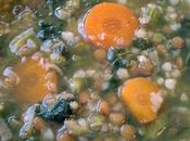soupe nourrissante lentilles sarrasin légumes (végétarien)