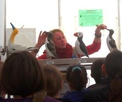 Pingouin Torda, Fou de Bassan, Macareux...La LPO à appris aux plus jeunes à les reconnaître © MEG_BD