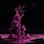 a2774a9b141177ad551424e95b06389f