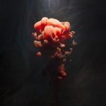 0b6f745911510c62cf22bb680f1ef18c