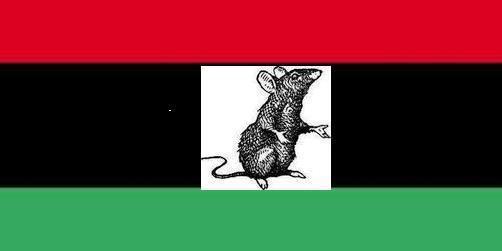 Libye – Le prix de la trahison: les vrais rats ne se bouffent pas entre eux