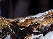 Titanic boite musique cœur l’océan (1/4)