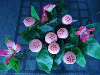 Macarons à l'hibiscus et églantier