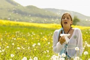 Allergies : se soulager grâce à la force des huiles essentielles