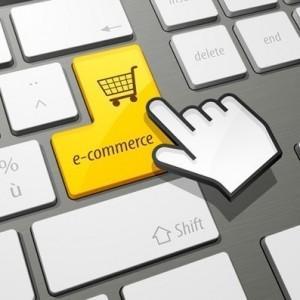 Fiche métier :     Responsable e-commerce