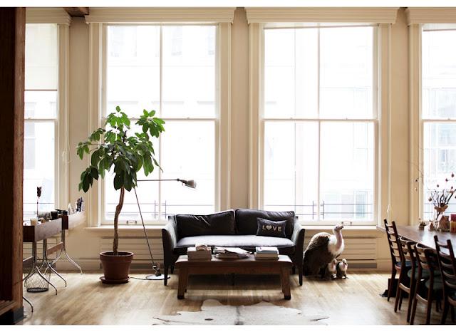 Décoration by Emily Johnston Anderson