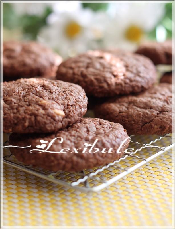 Biscuits-Brownies au gruau et au chocolat