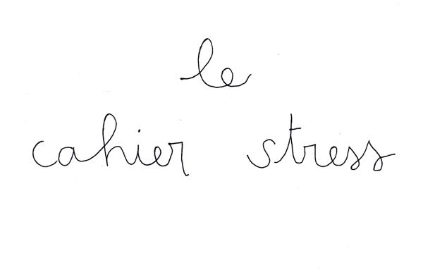 Je me suis acheté un tout petit carnet que je réserveà me...