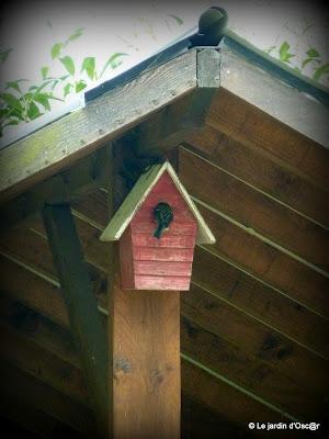grosse journée chez les Mésanges !