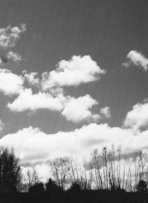 Ch'est pus le même temps qu'avant.