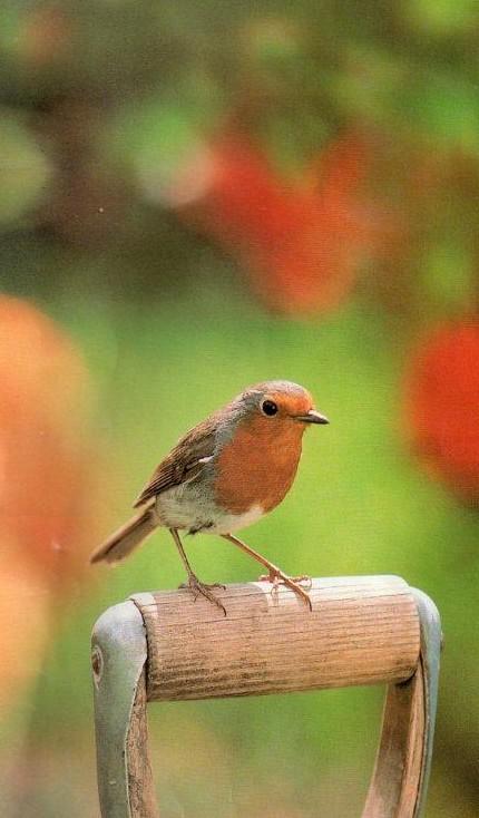 Ch'est pus le même temps qu'avant.