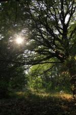 Ce week-end du 11/05 au soir au 13/05/2012).