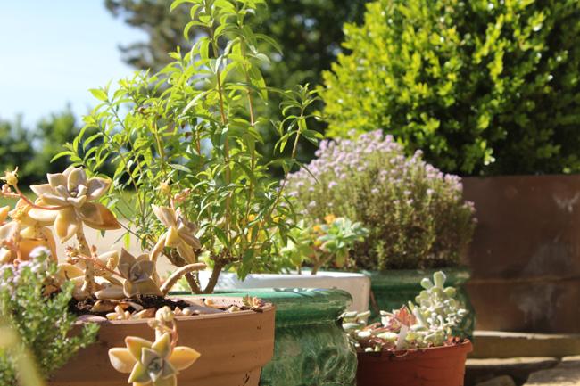 La nature on ne fait pas qu’en parler, on la fait aussi pousser !