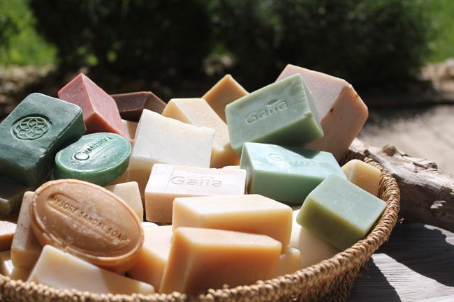 La nature on ne fait pas qu’en parler, on la fait aussi pousser !