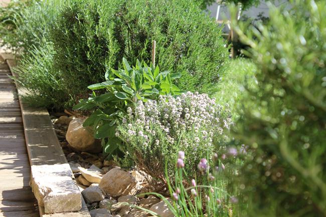 La nature on ne fait pas qu’en parler, on la fait aussi pousser !