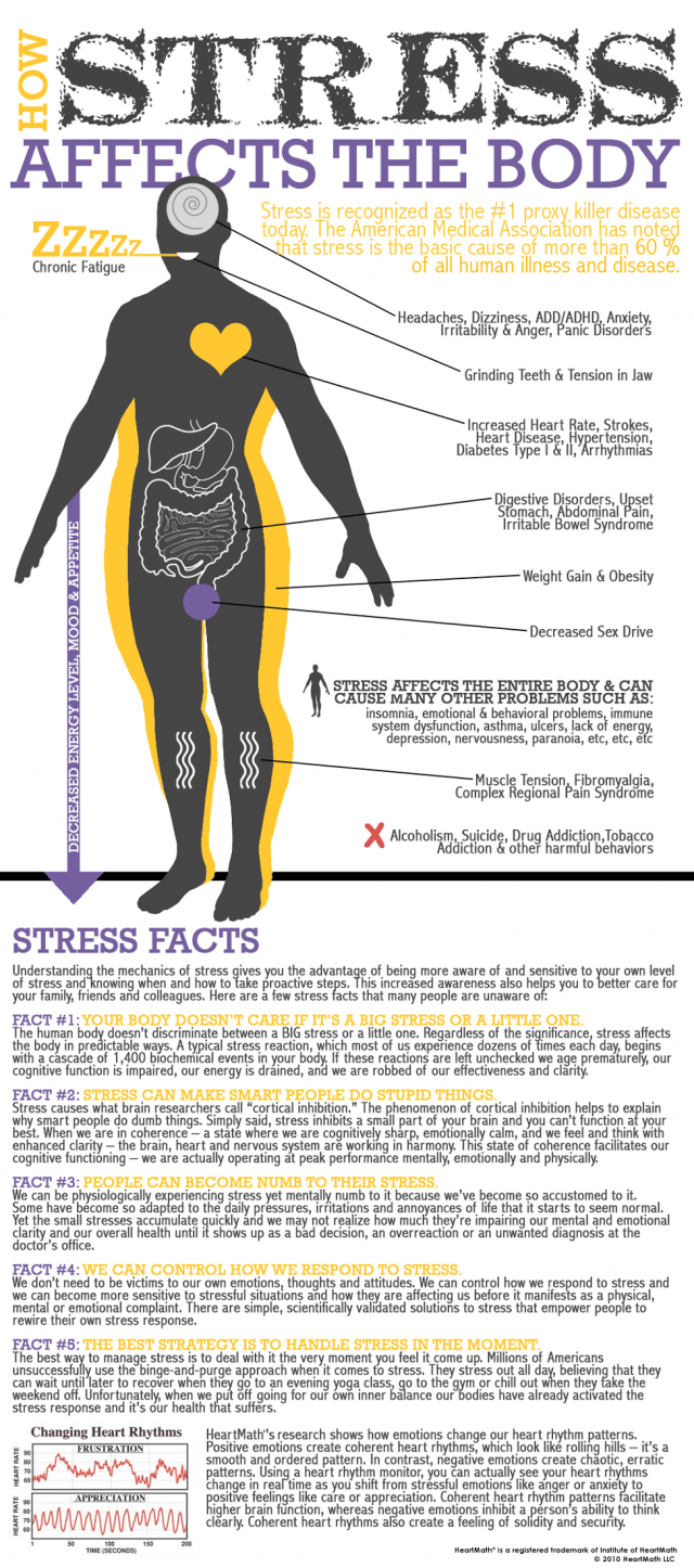 Infographie - l'impact du stress sur votre santé