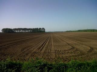 Terdav trail World Tour en images: 19e étape