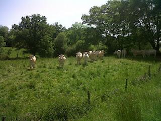 Terdav trail World Tour en images: 19e étape