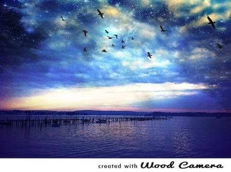 Le cadre et les oiseaux sont rajoutés, grâce aux effets prédéfinis de Wood Camera