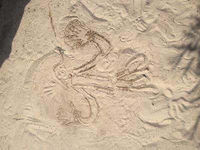 La ferme aux pilif - un dessin dans le sable
