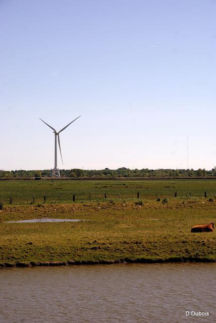 Éolienne géante du Carnet