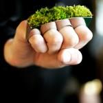 Des bagues à arroser ?