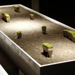 Des bagues à arroser ?