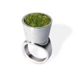 Des bagues à arroser ?