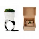 Des bagues à arroser ?