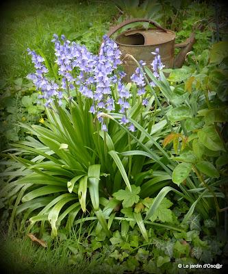 Une météo bien capricieuse cette année  ! Les S...