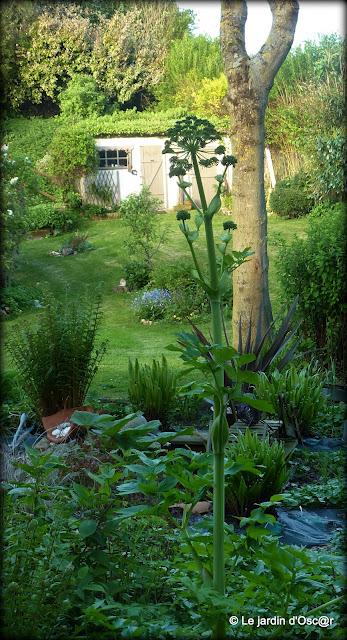 Une météo bien capricieuse cette année  ! Les S...