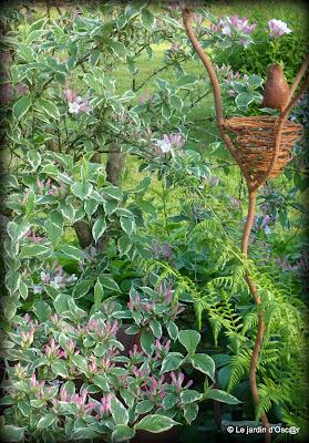 Une météo bien capricieuse cette année  ! Les S...