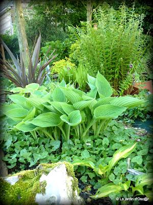 Une météo bien capricieuse cette année  ! Les S...