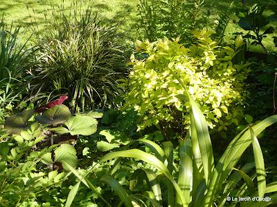 Une météo bien capricieuse cette année  ! Les S...
