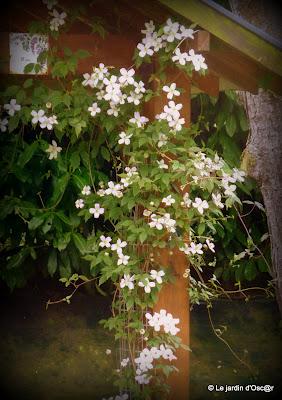 Une météo bien capricieuse cette année  ! Les S...