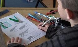 Diwan. L'école morlaisienne plafonne à une soixantaine d'élèves