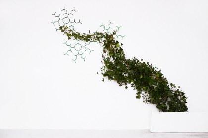 Module de treillage - Ariane - Design par Emilie Colin Garros Module de treillage - Ariane - Design par Emilie Colin Garros