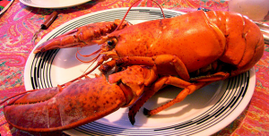 Photo CC Flickr dimitridf