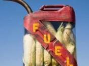 Nigeria spécialise dans l’Ethanol