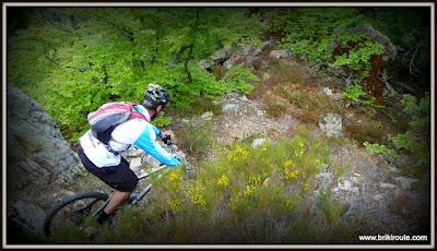 La crême... catalane !