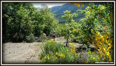 La crême... catalane !