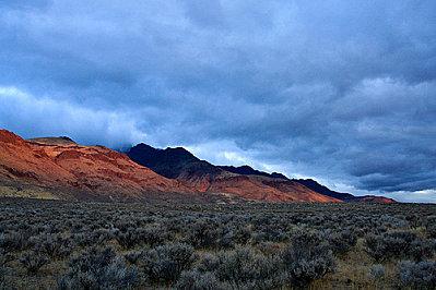 paysage avec sauge sauvage
