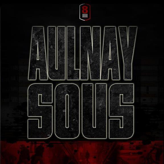 R.R. - Aulnay Sous (SON)