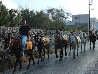 Santorin et moi (Chapitre 15 - Moyens de transports)