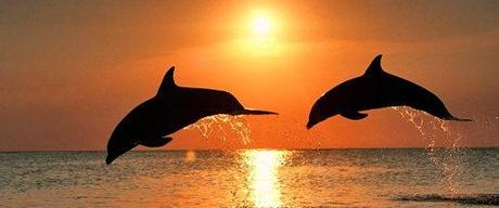 Ce que l’on fuit… 4523_88303994891_638114891_1949149_5062977_n.jpg