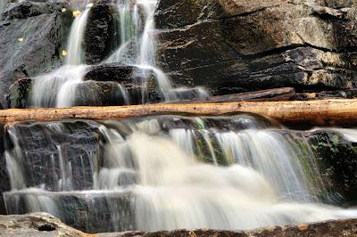 La liberté est en chute libre...
