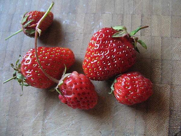 160512 fraises du jardin en verrine 001